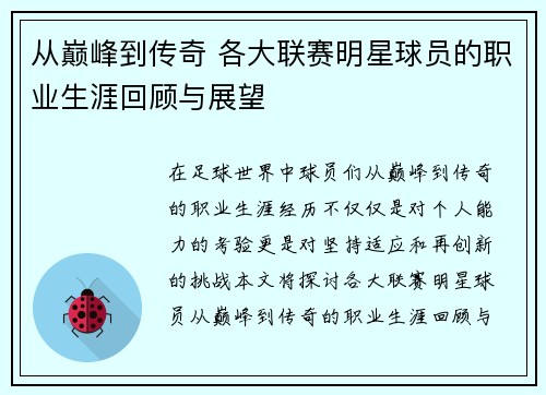 从巅峰到传奇 各大联赛明星球员的职业生涯回顾与展望