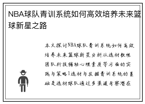 NBA球队青训系统如何高效培养未来篮球新星之路