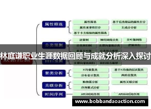 林庭谦职业生涯数据回顾与成就分析深入探讨